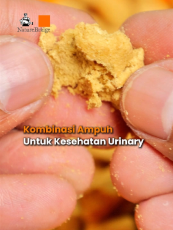 Solusi ampuh jaga urinary anabul! 🌿🥩 Dibuat dari kombinasi daging segar & herbal alami dengan topping 10% freeze-dried meat yang bikin anabul makin lahap! Buruan checkout di keranjang kuning sebelum kehabisan!  #NatureBridge #DailyCareUrinary #UrinaryCatFood #CatFood #CatCare