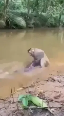 #funny #gehgehedit #gehgehchallenge #funnytiktok #gehgehmemes 