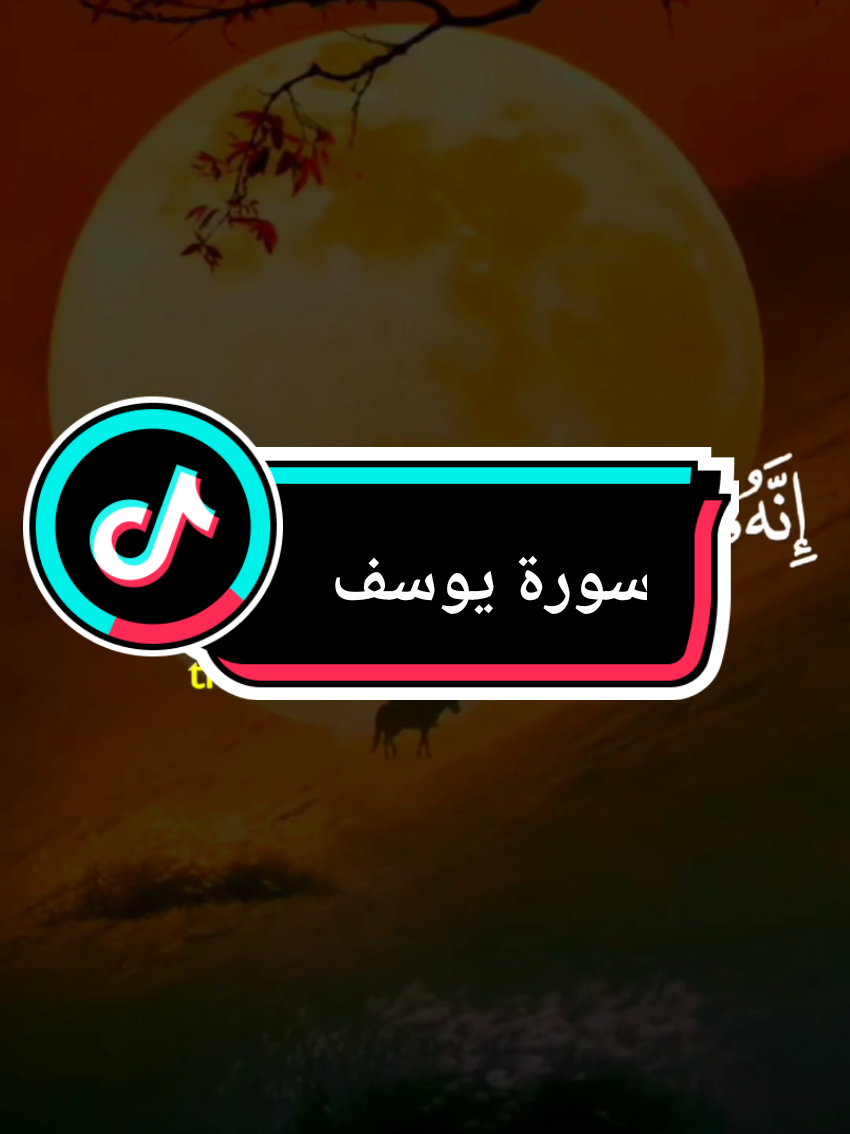 #فصبر_جميل_عسى_الله_ان_يأتيني_بهم_جميعا🌸✨ #سورة_يوسف #الله #قران_كريم #القران_الكريم 