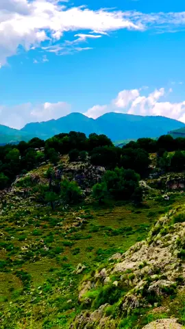 @For You #tirah valley ❤️💝💝💓💓 tirah valley ❤️💝💝💓💓 tirah valley ❤️