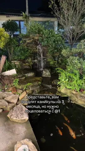 #врекомендации 