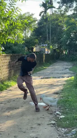 আজকে রাজহাঁসের সাথে  বেজাল  করলাম 🦢#mmmahin__voice__of_rakib #comedy #funny #humor 