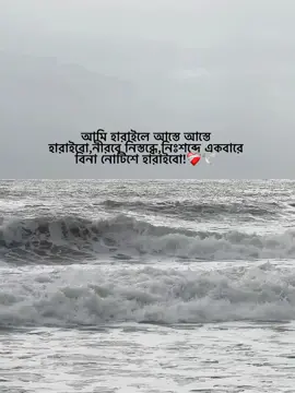 আমি হারাইলে আস্তে আস্তে হারাইবো,নীরবে নিস্তব্ধে,নিঃশব্দে একবারে বিনা নোটিশে হারাইবো!❤️‍🩹🕊️#foryou #foryoupage #status #bdtiktokofficial #unfrezzmyaccount @TikTok @TikTok Bangladesh 