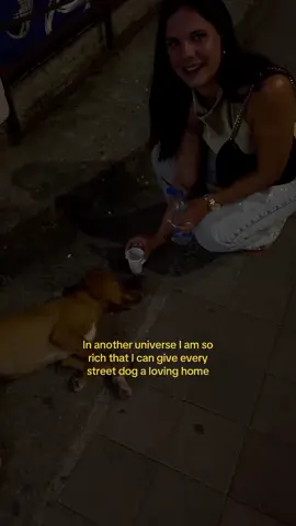 so much love for doggies 😔🥹 #fy #dog #streetdog #Love #viral 