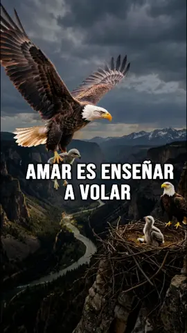 Amar es enseñar a volar. 🕊️ #amor #familia #mensajes