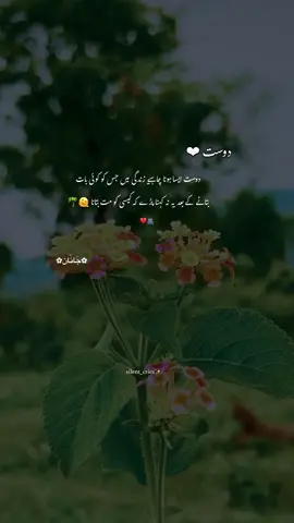 🌸🌴🫀✨🤍🫠#_silent_cries #foruyou #viral #fyp 