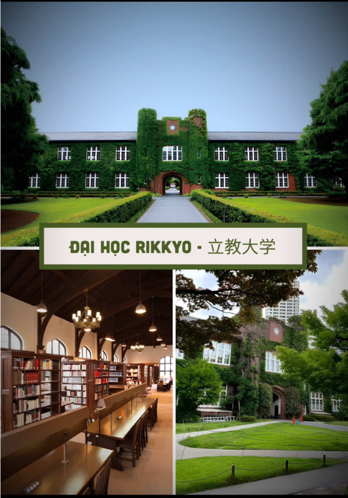 Những Đại học Nhật Bản có campus siêu “peak” Có “bạch nguyệt quang” của bạn ở đây không? #daihocnhatban #duhocnhatban #tiktokviral #nhatban #capcut 