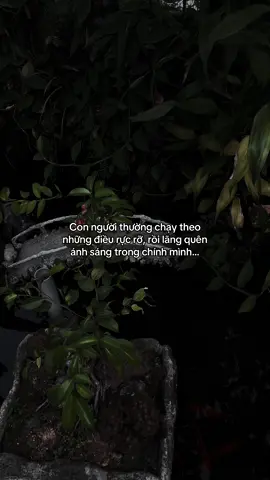 …#tamtrang #story 