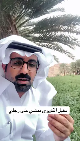 #كسبلور #اكسبلوررر #نجران #مسعود_بن_جرشب 