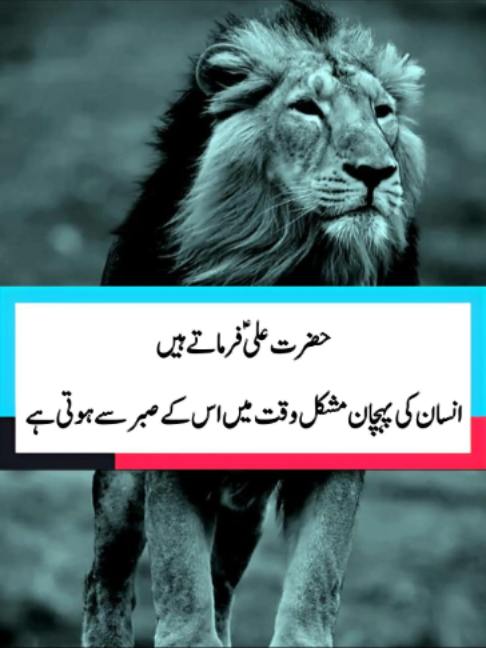 Logon Ke Samne Apna Dukh Bayan Mat Karo Hazrat Ali Quotes 💯❣️#molaali #hazratali #lifelessons #Motivation #IslamicQuotes #UrduQuotes #fpy #foryou #foryoupage❤️❤️