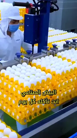 صناعة البيض تجارة بمليارات الدولارات|هل تدري ماذا تأكل كل يوم | #creatorsearchinsight #fyp #viral #foryoupag #trend 