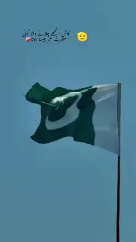 #duet with @🌹🌾☘️ پنجابی منڈا 🌸🪴🌹 #shabanhaider1000✅🌱 #🥀🌼🙈 #سگنت۔ویڈیو۔ویرل۔کرسیو۔آپ۔ #