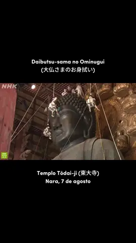 Cada 7 de agosto, el templo Tōdai-ji (東大寺), en Nara, celebra el Ominugui (お身拭い) de su Gran Buda, una ceremonia anual en la que se limpia cuidadosamente la estatua antes de la festividad de Obon. Este año participaron unas 170 personas, entre monjes y personal del templo. Tras los ritos previos, llevaron a cabo la limpieza del Gran Buda, retirando cuidadosamente el polvo acumulado durante el último año. La denominación Ominugui no es exclusiva del Tōdai-ji: el término se utiliza también en otros templos para ceremonias de limpieza de imágenes budistas. En Tōdai-ji, este acto recibe específicamente el nombre de 