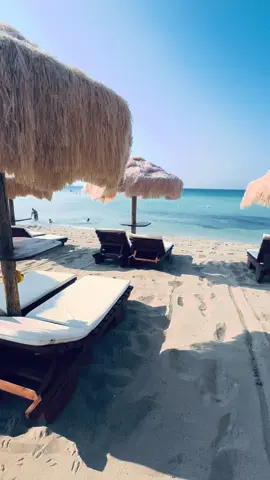 I think I just found paradise… 🌊☀️🤍 📍 Punta Prosciutto, Puglia 🇮🇹 🌴 Samanà Beach Club Crystal-clear water, endless blue & pure Italian summer vibes. ✨ Is this Puglia… or heaven? 🐚💙 #PuntaProsciutto #Puglia #SamanaBeach #ItalySummer #ItalianParadise   @Punta Prosciutto Beach 
