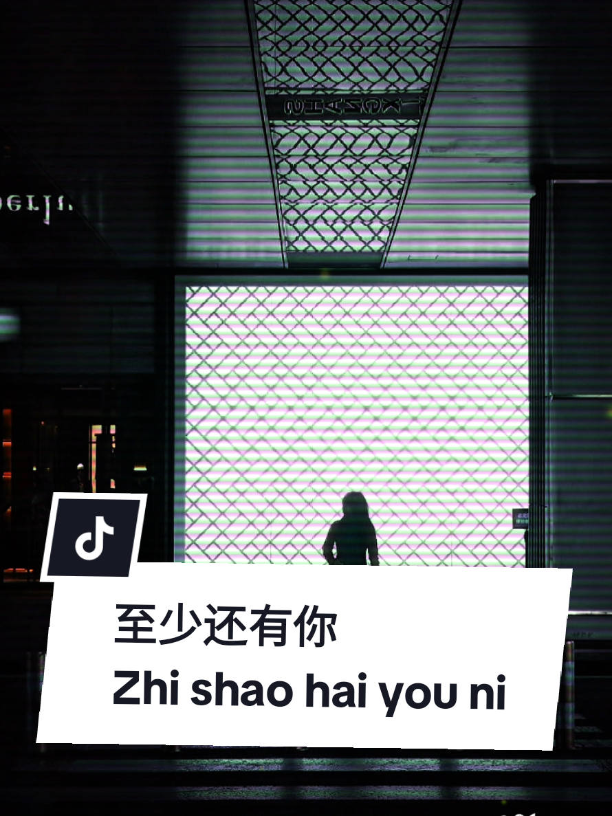 #至少还有你  Zhi shao hai you ni  ( Setidaknya masih ada kamu )  Kalau seluruh dunia bisa aku lepaskan, kamu tetap menjadi satu-satunya yang ingin aku pertahankan.  #capcut #j2011music #remix #中文歌 