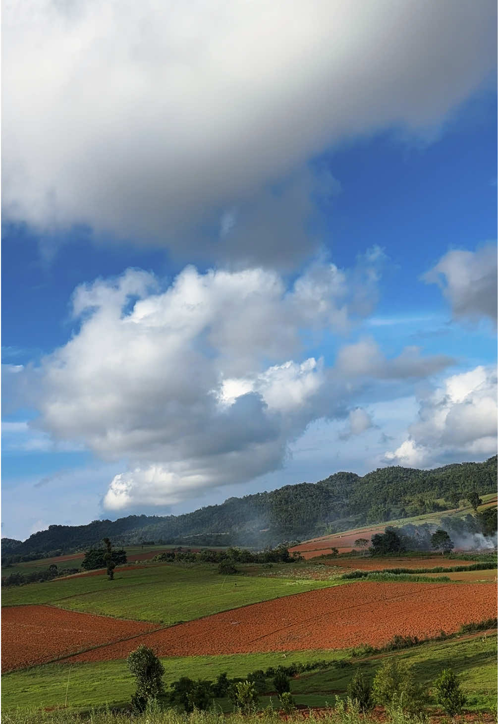 Time-lapse အချိန်တွေကို ပြန်ကြည့်မိတဲ့အခါ ဘဝဆိုတာလည်း Time-lapse တစ်ခုလိုပါပဲ… မနေ့ကလိုထင်ရတဲ့ အချိန်တွေက ဒီနေ့မှာ အမှတ်တရဖြစ်သွားပြီး၊ ဒီနေ့ကိုလည်း မကြာခင်မှာ “တစ်ချိန်က…” လို့ ပြန်ပြောရတော့မယ်။ #creatorsearchinsights #creatorssightinsights  #fyp  #foryou  #ရှမ်းပြည်တောင်ပိုင်းတစ်နေရာ 