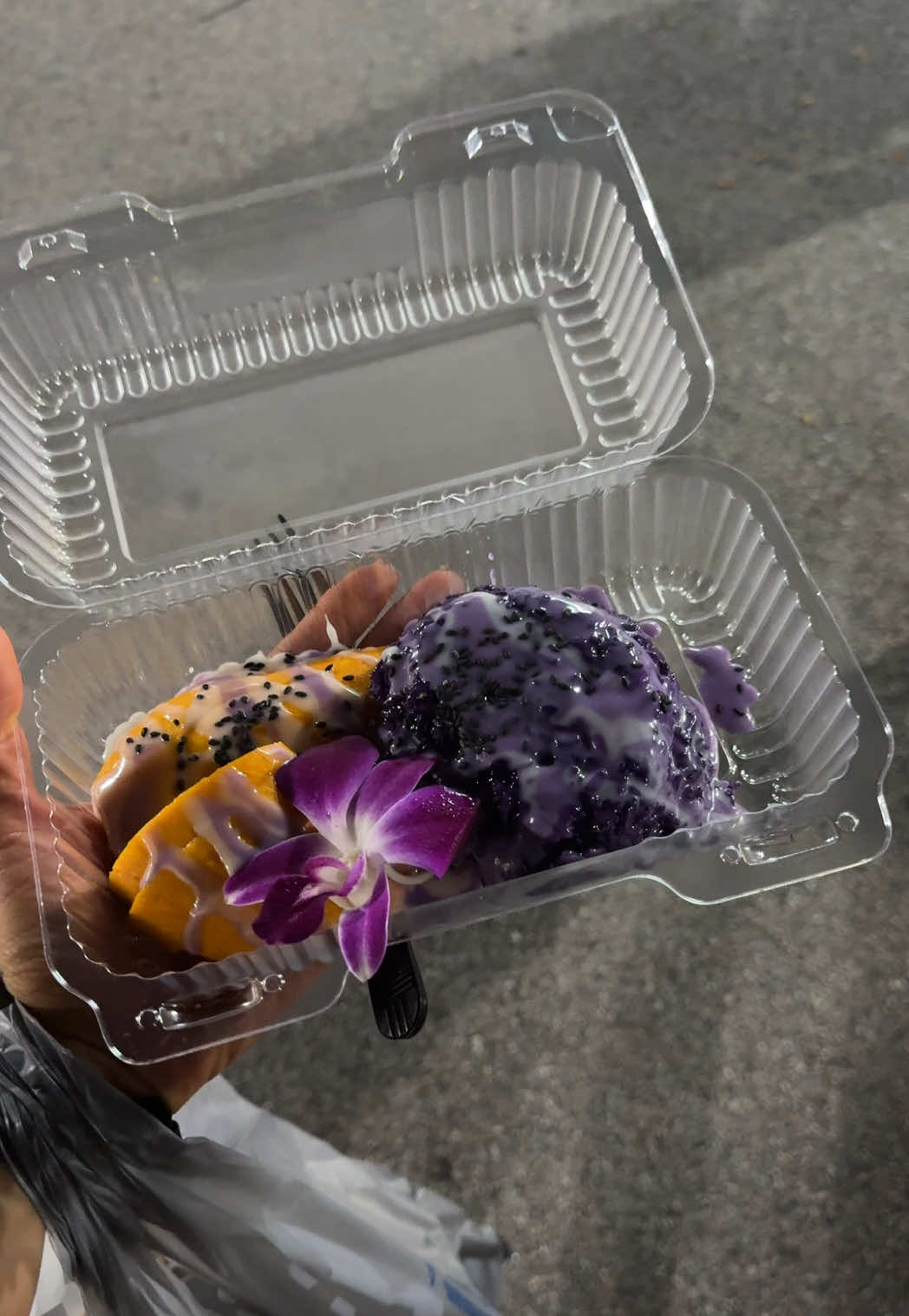 everything we tried at the dream asia festival in columbia, all of the ai booths PMO SO BAD #dreamasiafoodfestival #columbiasc #foodfestival #mukbang 
