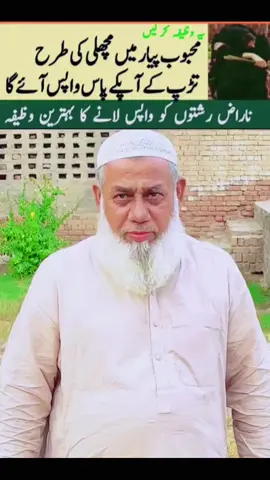 #bypeermuftiameennaqshbandi 💜💜💜❤️❤️❤️❤️