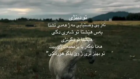 #اكسبلورexplore #fyp #foryou #zaxo_duhok_hewler_slemani_hawler #zakho♥️😻 