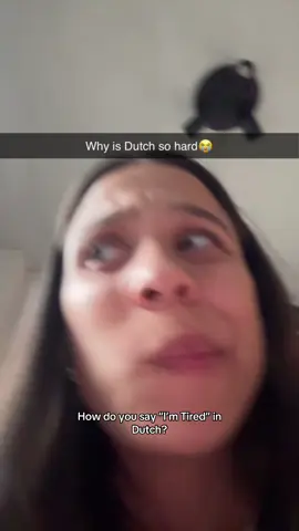 Lol, What is wrong with my AI? 😭 #airlearnpartner  #learndutch  #air5238