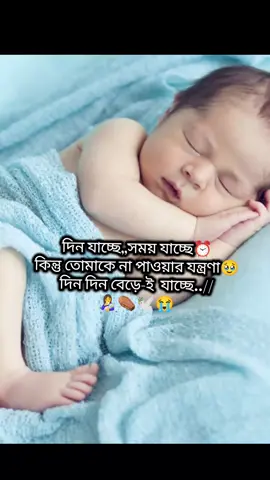 দিন যাচ্ছে সময় যাচ্ছে কিন্তু তোমাকে না পাওয়ার যন্ত্রণা দিন দিন বেড়েই যাচ্ছে ⚰️🕊️👩‍🍼😭😭😭🫀🫀🤲🤲😭😭😭😭😭😭💔💔💔💔 #জান্নাতি_পাখির_আম্মু #নিঃসন্তান_মায়ের_কান্না😭😭 #রব্বি_হাবলি_মিনাছ_সলেহিন🤲🥺😭🕋🕋 