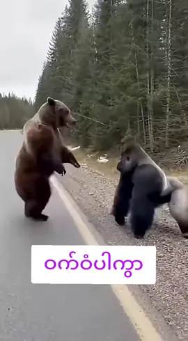 #...7