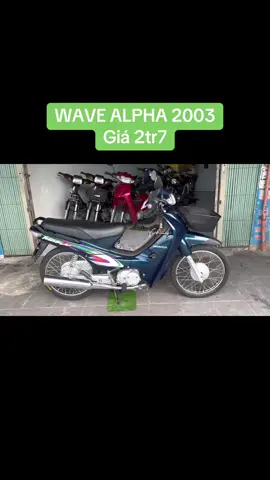 HONDA WAVE ALPHA LỐC TRẮNG CHỮ CONG(không giấy), đời 2003. Chất xe zin, máy móc êm chưa đụng chạm🛵 #wave #wavealpha #xemaycugiare #xuhuong #fyp 