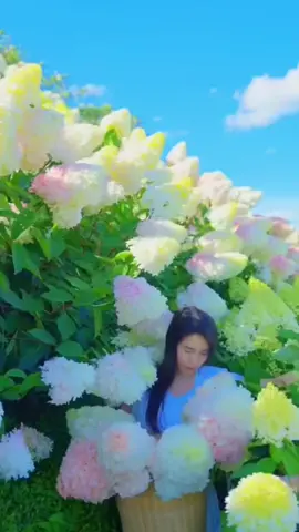 #ပန်းချစ်သူတို့အတွက်တေးလက်ဆောင် #fypシ゚ #foryou #ရောက်စမ်းကွာfypပေါ်💯 