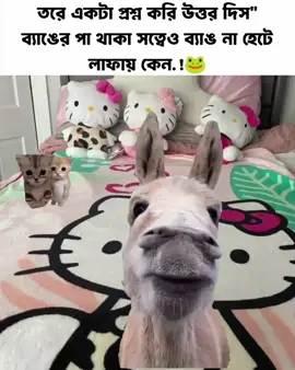 উত্তর টা দিস বন্ধু #meme #viral #funny #foryou #fpy 