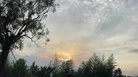Bình yên ở quê 