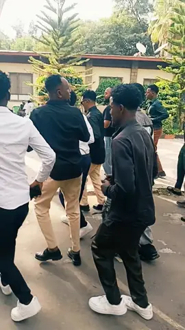 #oromotiktok❤️💚❤️ethiopi #oromotiktok❤️💚❤️ethiopi 