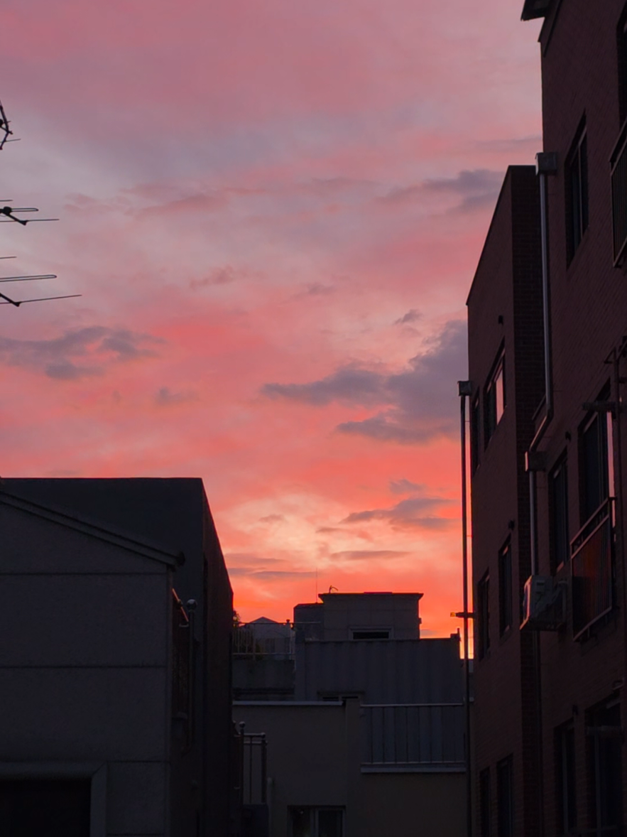the sunset from my room window..so majestic ✨️  #sunset #beautiful ##fyp #fypシ #fypシ゚viral 