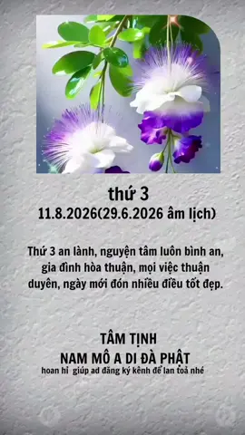 #tamtinh #phatgiao #phatphap #phatphapnhiemmau #nammoadidaphat 