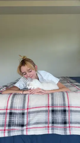 My kitten's new name is Muffin 