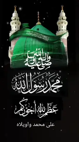#استشهاد_الرسول_الاعظم_محمد🥺💔 #وفاة_النبي #المدينة_المنورة #٢٨صفر_شهادة_الرسول_الأعظم_محمد #يارسول_الله 