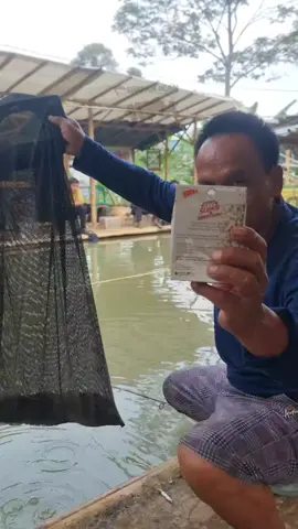 Gak nyangka, umpannya seganas ini!” #mancing #mancingmania #umpanikan #jitusuper #umpanmancing 