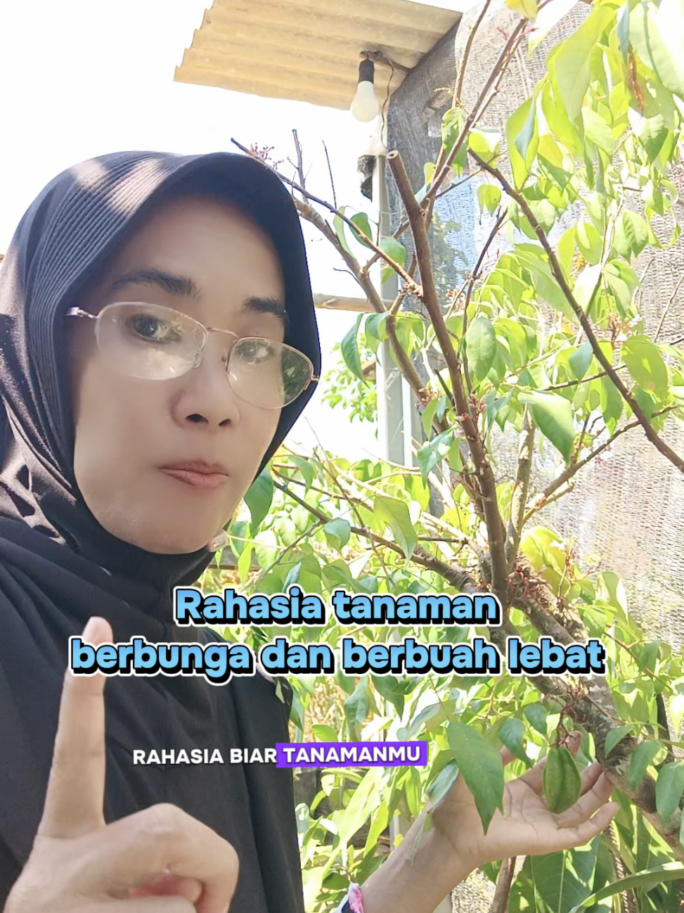 Rahasia tanaman berbunga dan berbuah lebat #fertani   #pupukorganikbuah  #kebunbuah 