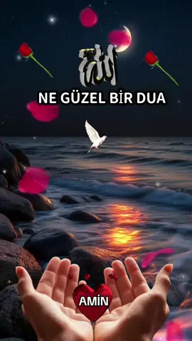 Hep beraber amin diyelim 🤲🌹🌹  #selamibeyhanlı #dualar #duaedelim #dualardabuluşalım 