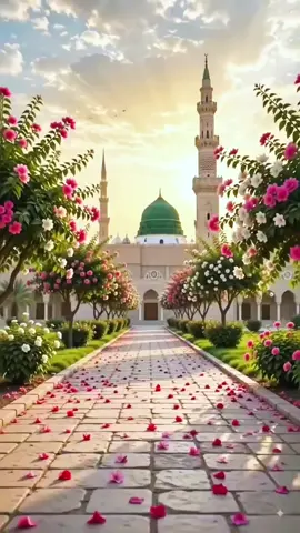 #CapCut #اللهم_صل_وسلم_على_نبينا_محمد #foryoupage❤️❤️ #مدينه_المنوره❤ درؤد ابراهي ماشاالله،🤲🤲🤲❤️❤️❤️❤️🌺🌺🌺#اللهم_لك_الحمد_ولك_الشكر 😍😍😍😍🌹🌹