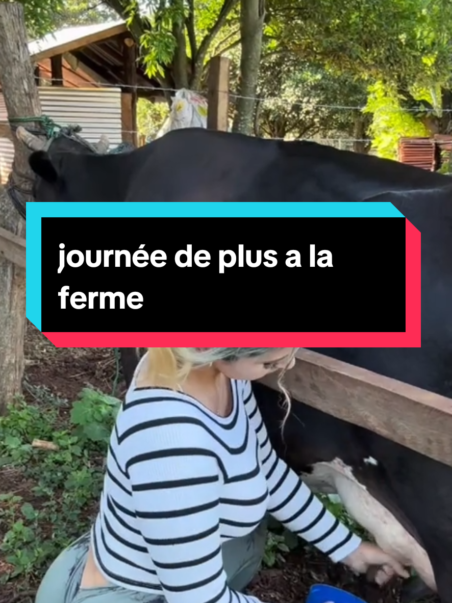 #animaux #farm #farmgirl #france #campagne 