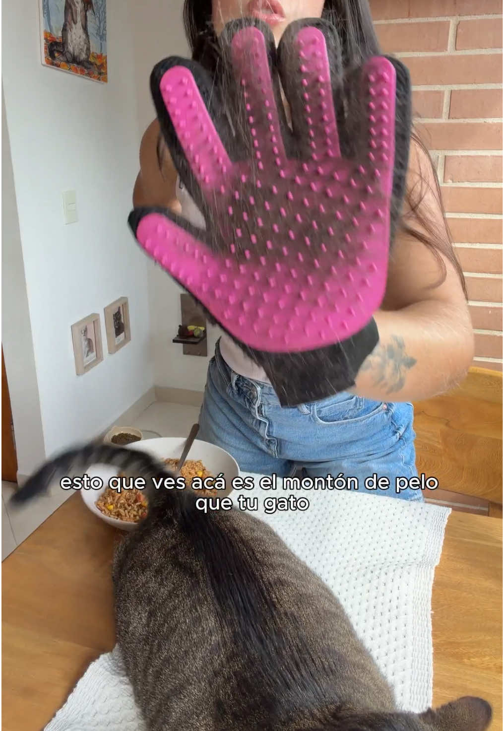 Menos bolas de pelo, más tranquilidad para tu michi 🐱✨ Un treat que se siente como premio. #HairballSupport #HairballCare #CatVomiting #CatDigestiveHealth #HealthyCats