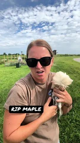 #chickens #fyp #toddler #farm #loss 