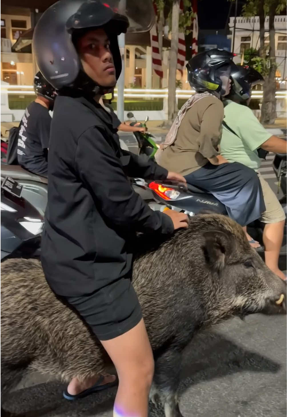 Numpak celeng zi genah murah ora ragat mesin 💆🏻‍♂️