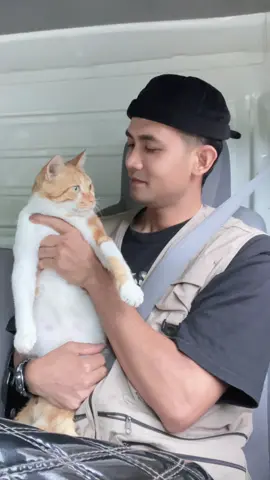 Sehat sehat  kernetku  🐈