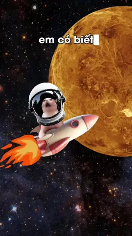 Tưởng tượng phải ở trển 🌕🌠 #meme #mèo #couple #Love #punchline 