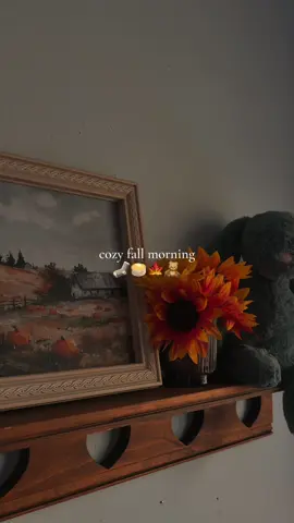 binging sterling point atm 🧦🥞🍁🧸 #sterlingpoint #falltok #fallmorningroutine #downtowngirl #pinterestaesthetic   @Prime Video @pinterest @laneige_us @Jellycat @UGG® @CYKLAR @Sol de Janeiro @Summer Fridays @Gisou @Naturium 