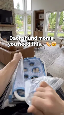 Comment “BATH” if you need this folding pet grooming hammock! 🐶🛁 Especially helpful for Dachshunds and other nervous dogs that hate bath time. The breathable mesh gently keeps your dog secure while their legs hang comfortably, making it easier to wash, rinse, trim nails, clean ears or dry them. No more chasing, squirming or getting scratched. Less stress for your dog, easier grooming for you!  #dogmom #petcare #dachshund 