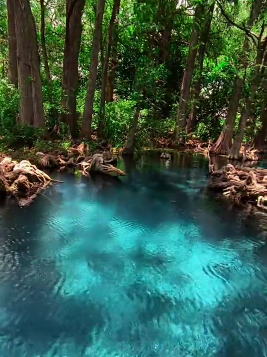 Por la aldea Chacaj, en Nentón, Huehuetenango encontramos esta belleza natural color turquesa en el Río Lagartero... #guatemala #fyp #paratiiiiiiiiiiiiiiiiiiiiiiiiiiiiiii #natural #tiktok 