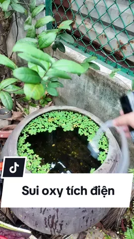 Sủi oxy tích điện