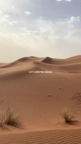 The Sahara from Morocco. A trip across the desert needs to make your bucket list. 🐪  ##travel##nature##sahara##morocco##desert